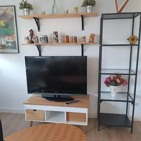 Girasoles * Santander