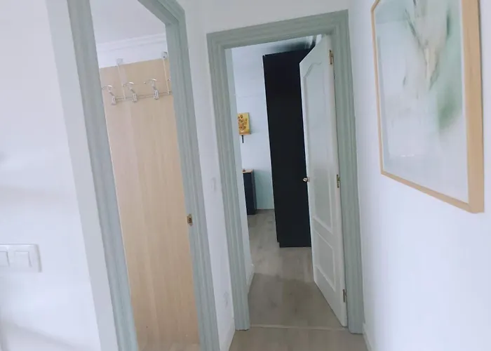 Girasoles * Santander