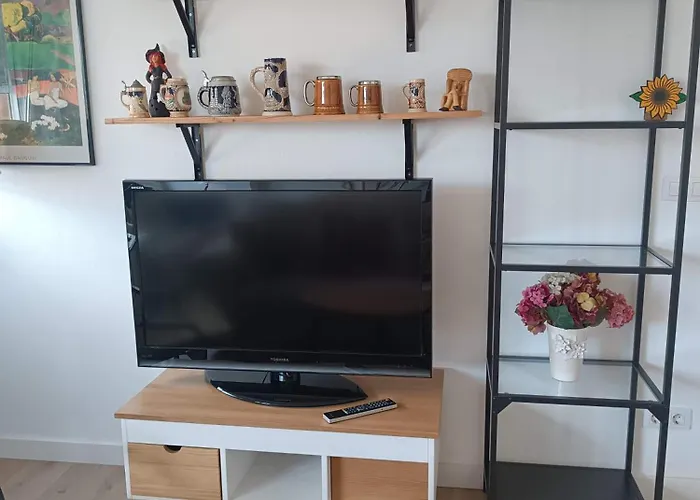 Girasoles * Santander