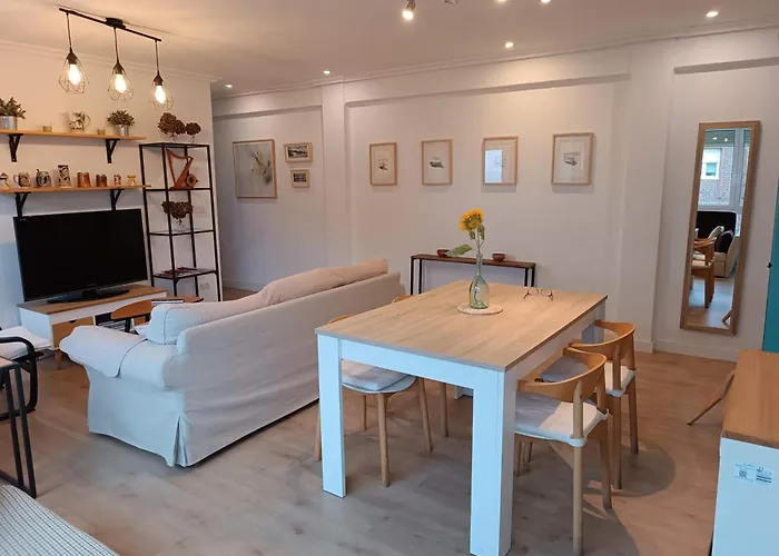 Girasoles * Santander